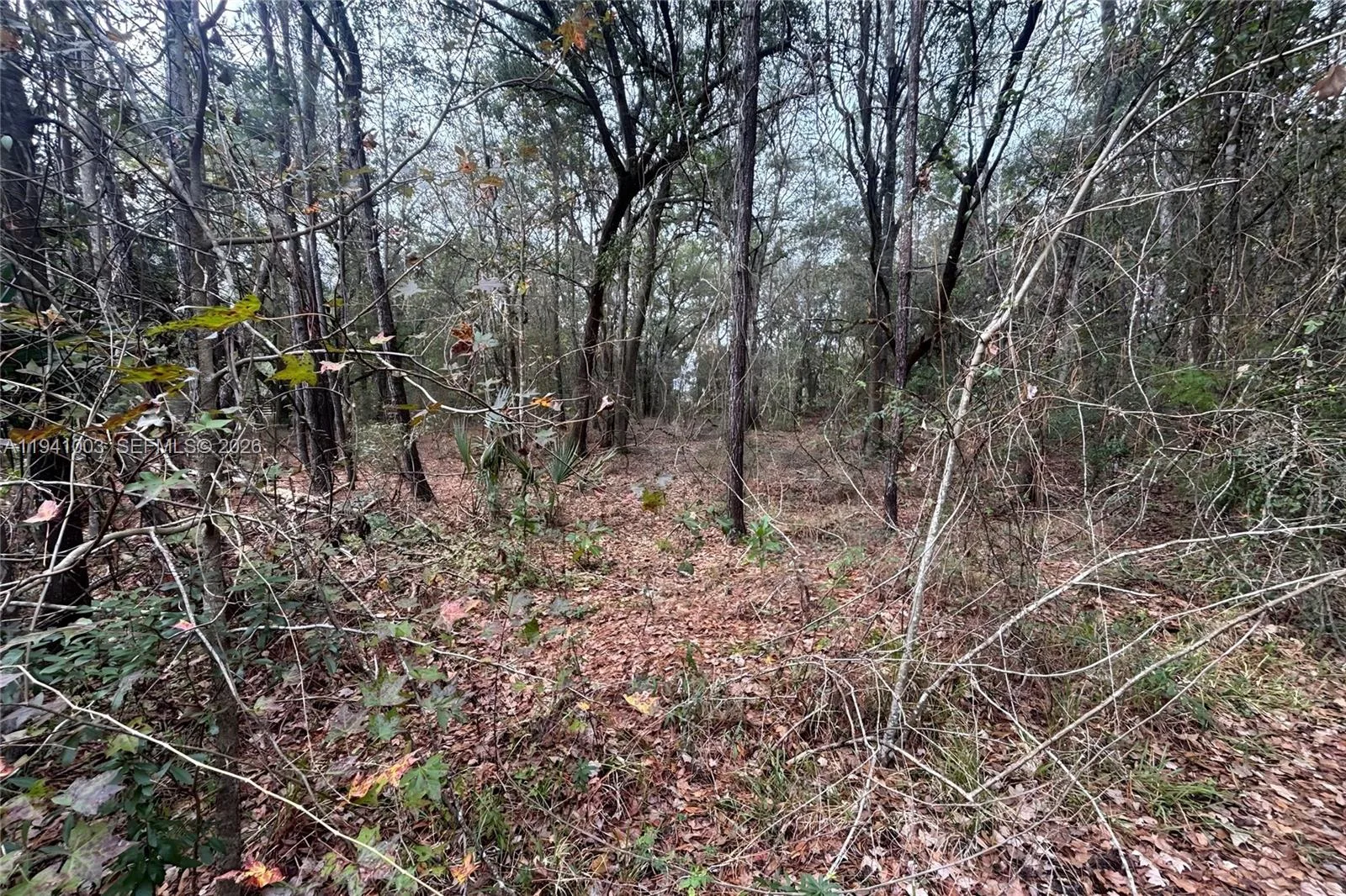 0 Landward, Other City - In The State Of Florida, FL 32068 photo 4
