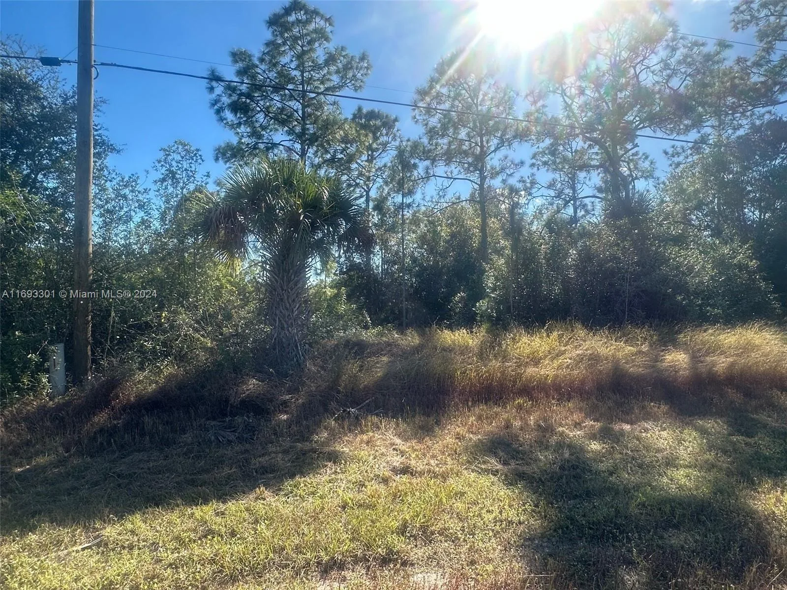 754 Grant Blvd, Lehigh Acres, FL 33974 photo 3