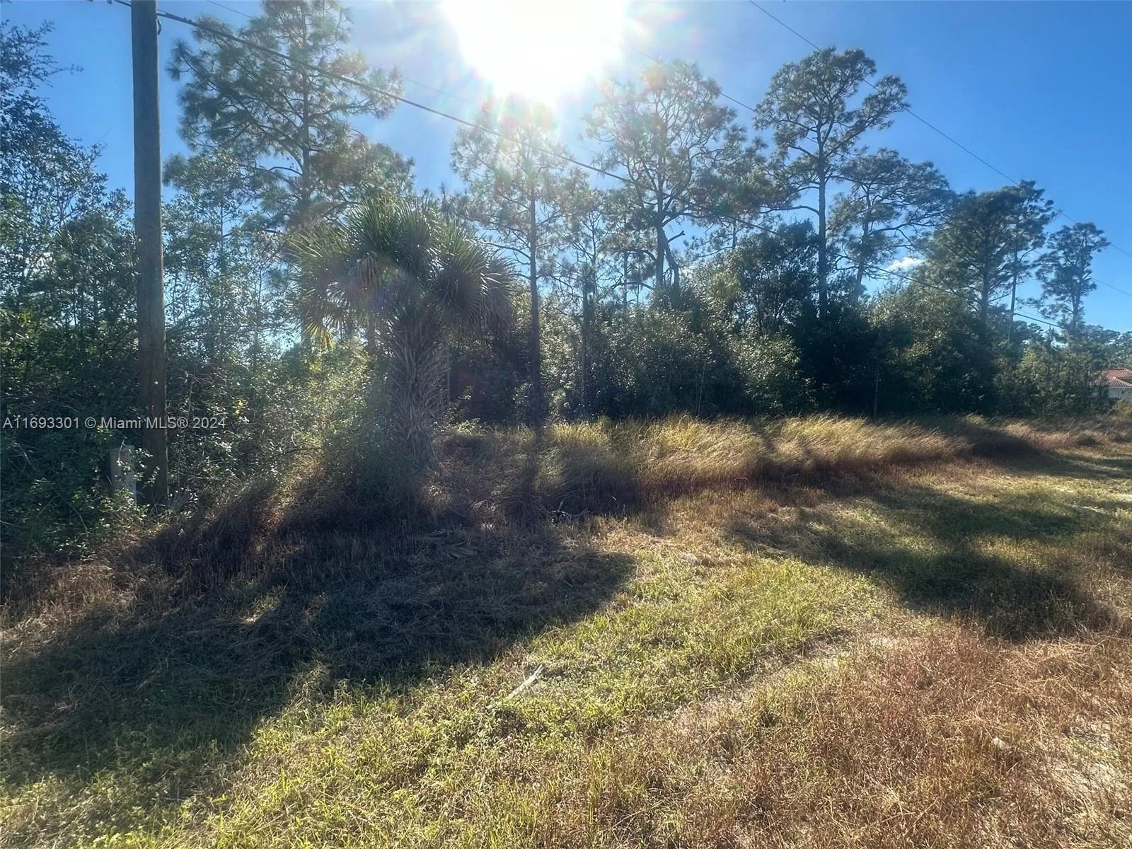754 Grant Blvd, Lehigh Acres, FL 33974 photo 5