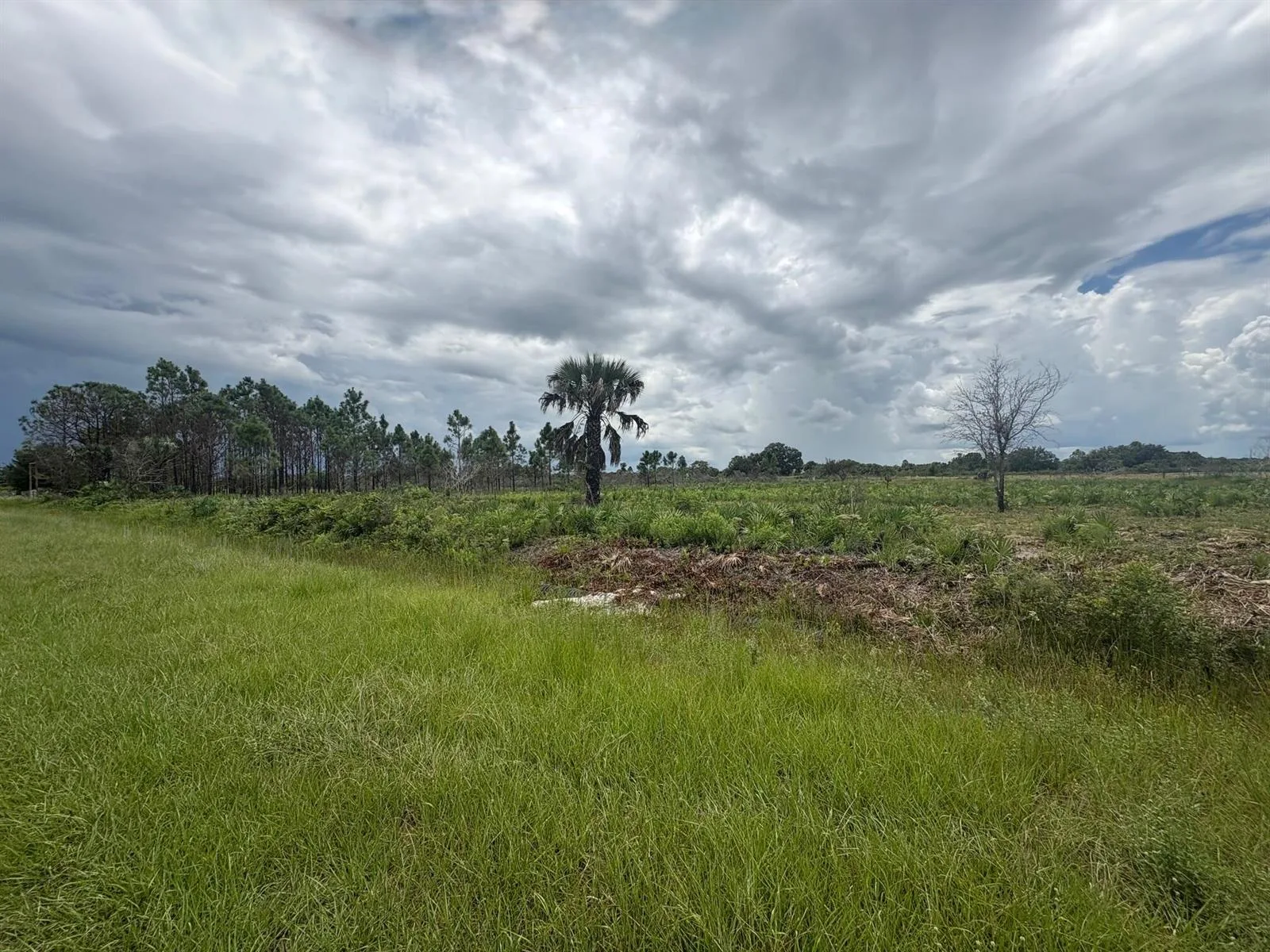 17982 NW 318th Street, Okeechobee, FL 34972 photo 2