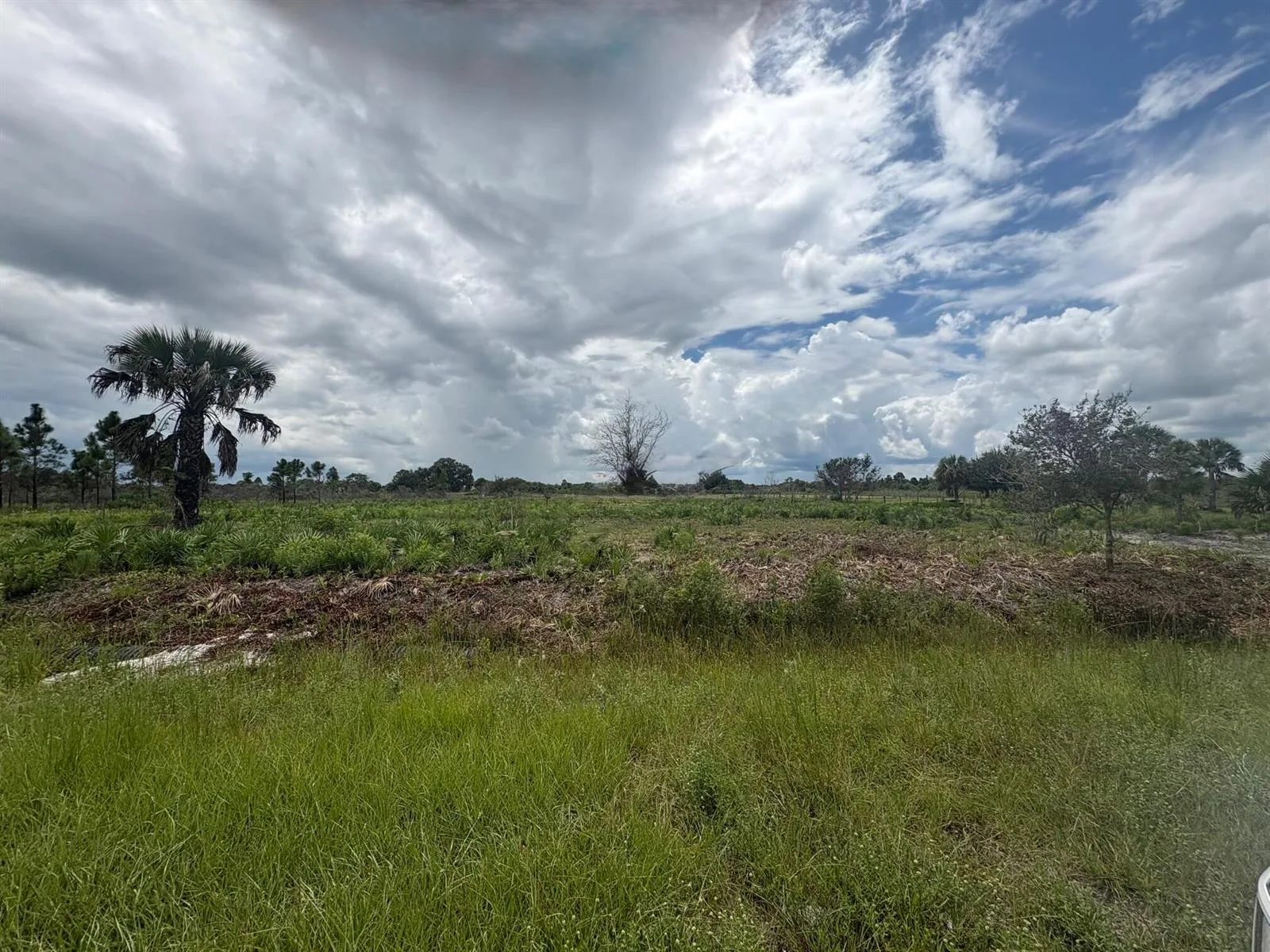 17982 NW 318th Street, Okeechobee, FL 34972 photo 3