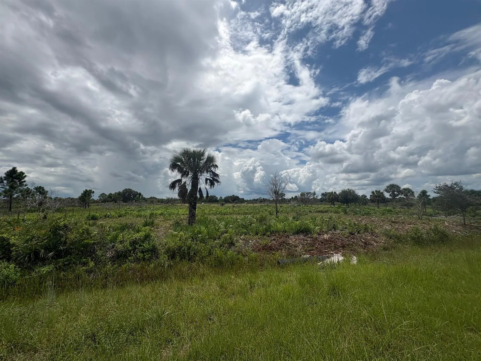 17982 NW 318th Street, Okeechobee, FL 34972 photo 5