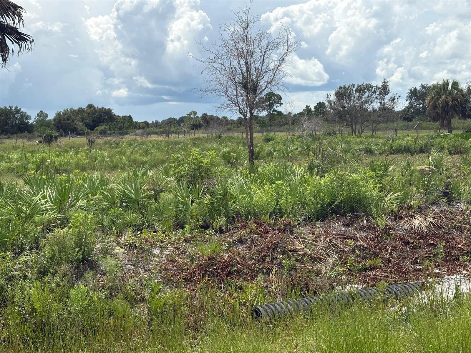 17982 NW 318th Street, Okeechobee, FL 34972 photo 6