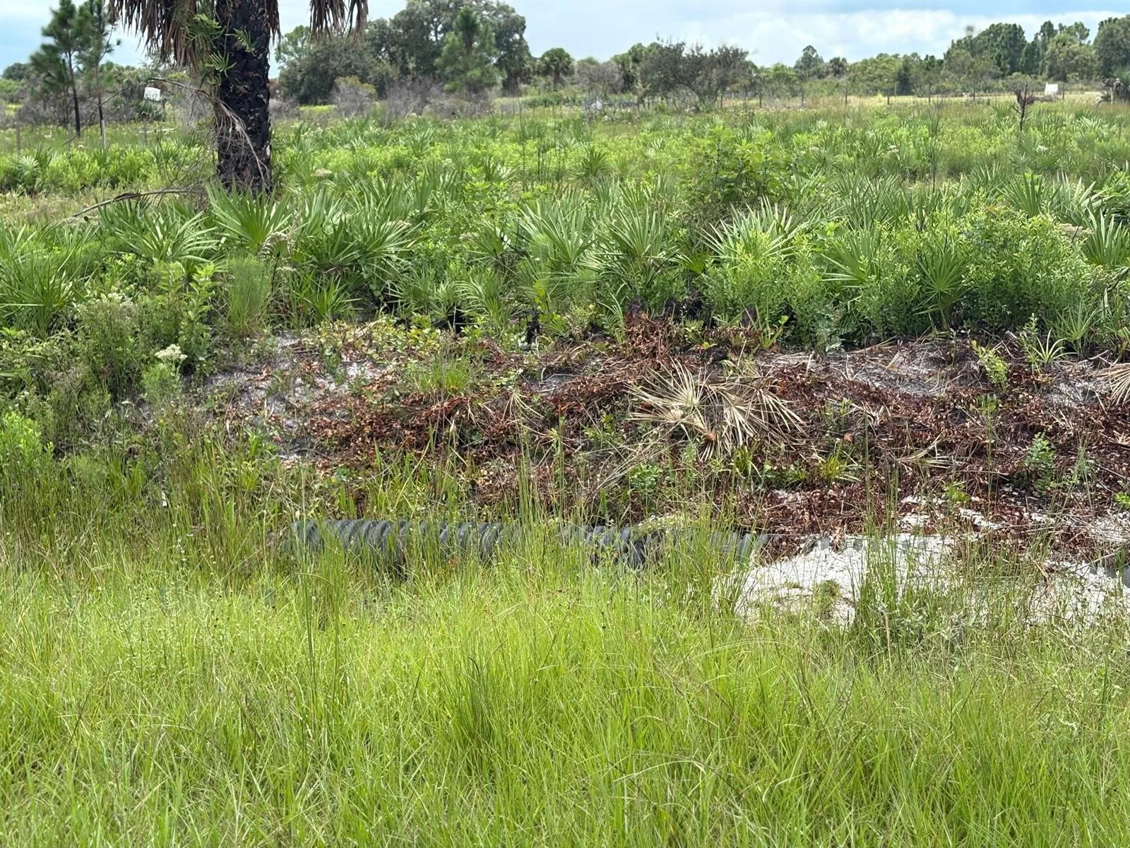 17982 NW 318th Street, Okeechobee, FL 34972 photo 7