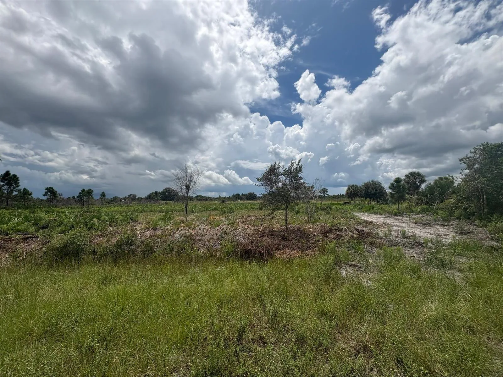 17982 NW 318th Street, Okeechobee, FL 34972 photo 8