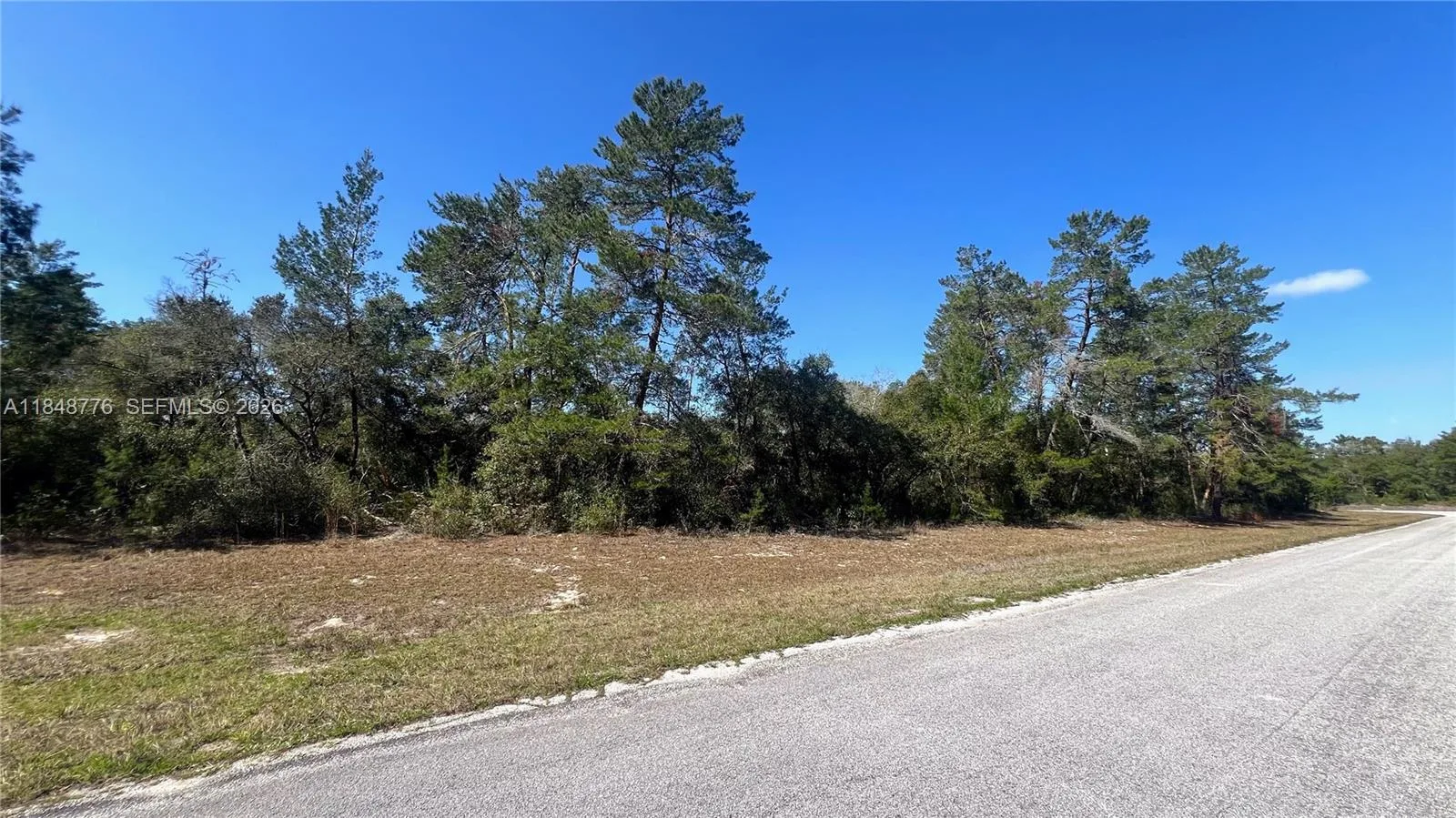 32nd Cir / Marion Oaks Blvd, Ocala FL 34473