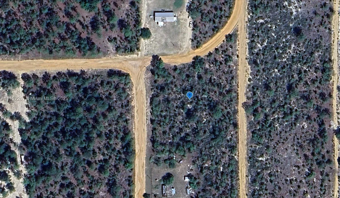 256 Orchid Av, Other City - In The State Of Florida, FL 32148 — zdjęcie 2