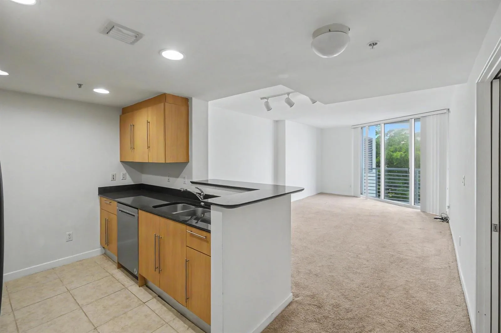 335 S Biscayne Boulevard # 1002, Miami, FL 33131