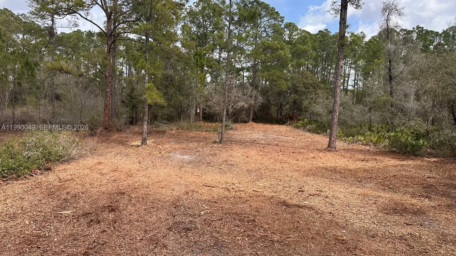 34349 Manuel St, Other City - In The State Of Florida, FL 33597 photo 3