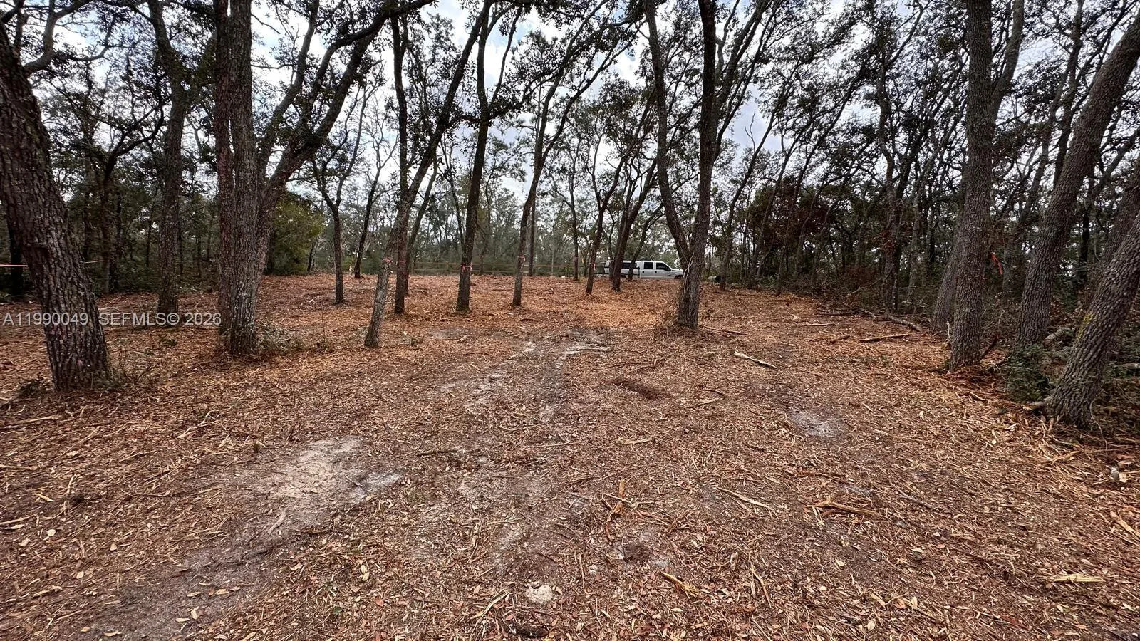 34349 Manuel St, Other City - In The State Of Florida, FL 33597 photo 4