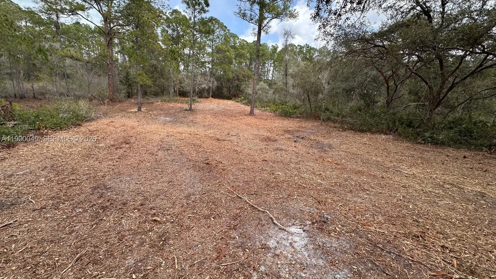 34349 Manuel St, Other City - In The State Of Florida, FL 33597 photo 5
