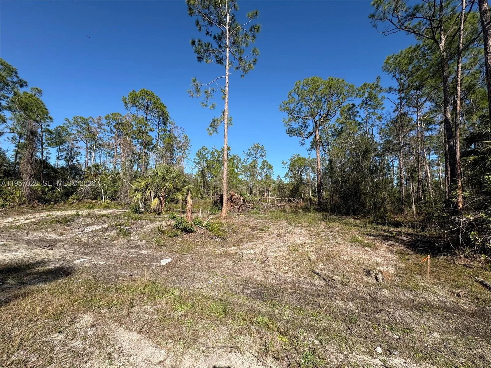 230 Ocean Park DR, Lehigh Acres, FL 33972