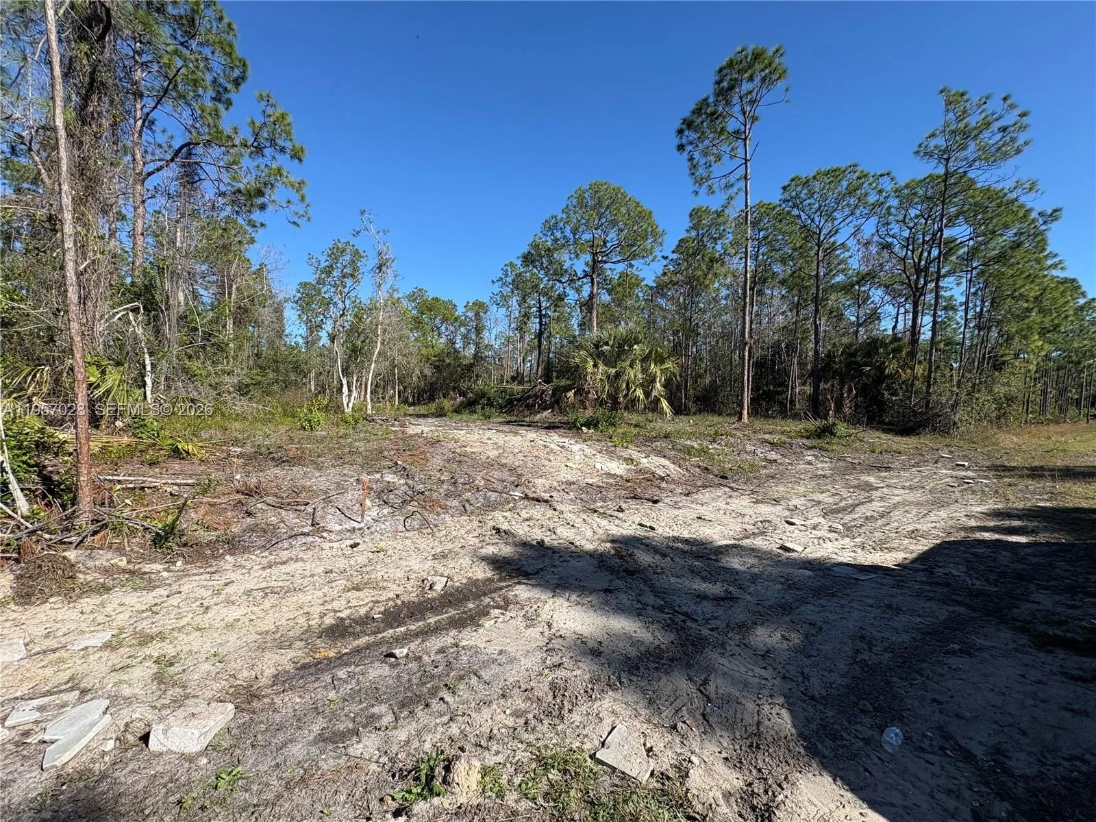 230 Ocean Park DR, Lehigh Acres, FL 33972 photo 3