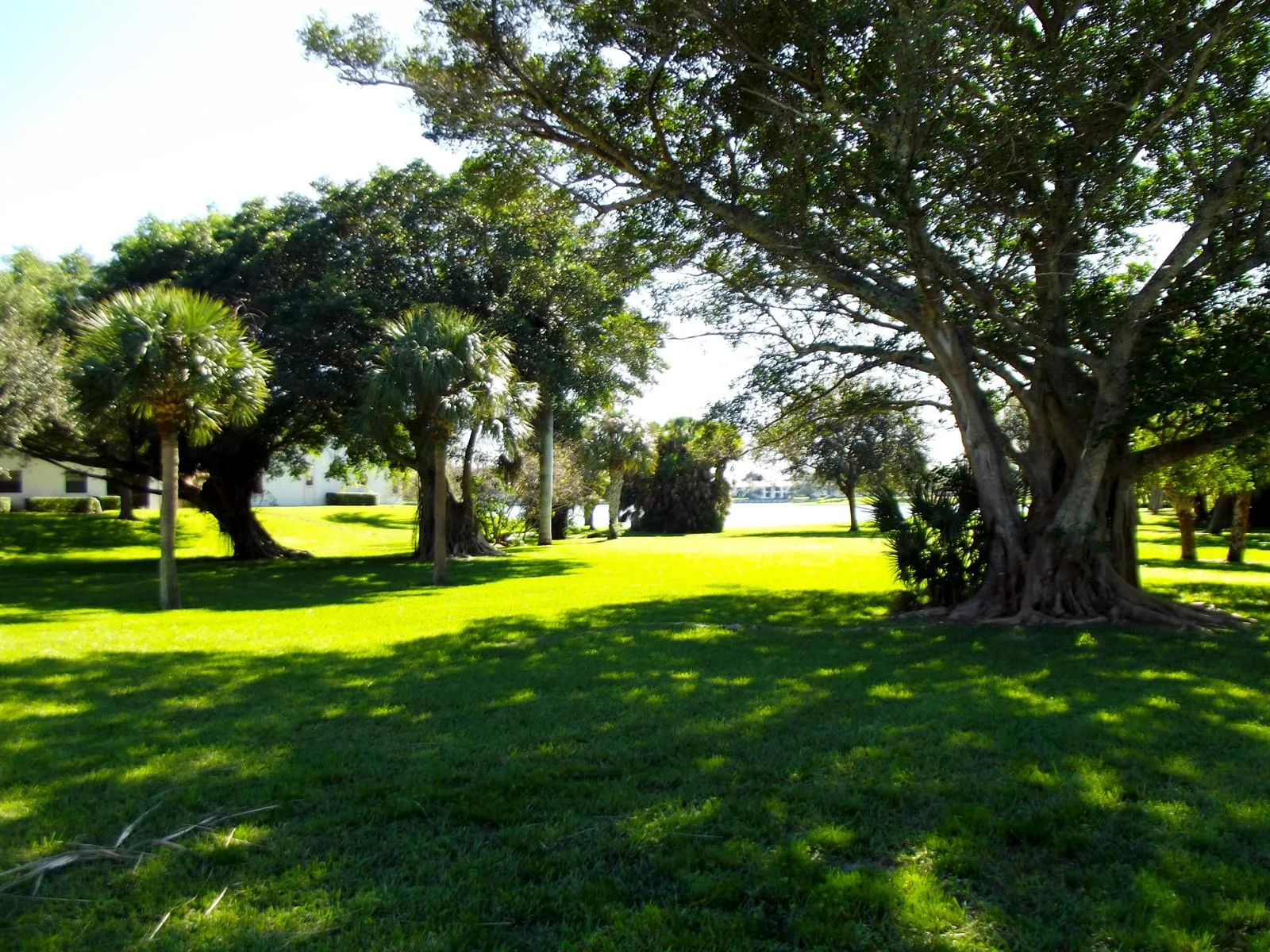 3355 Jaywood Terrace # 2140, Boca Raton, FL 33431 photo 5