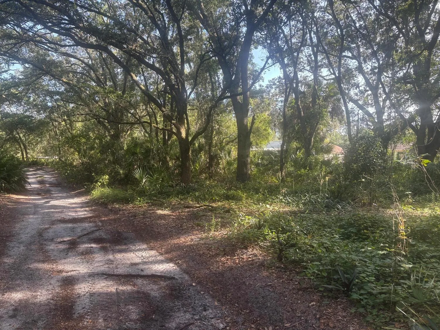 503 Pershing Avenue, Lake Placid, FL 33852