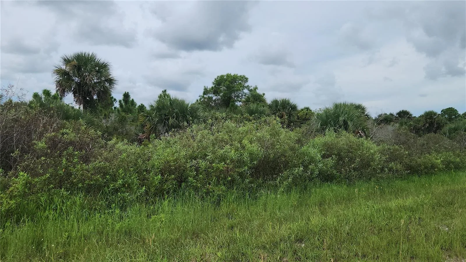 14988 NW 316th Street, Okeechobee, FL 34972