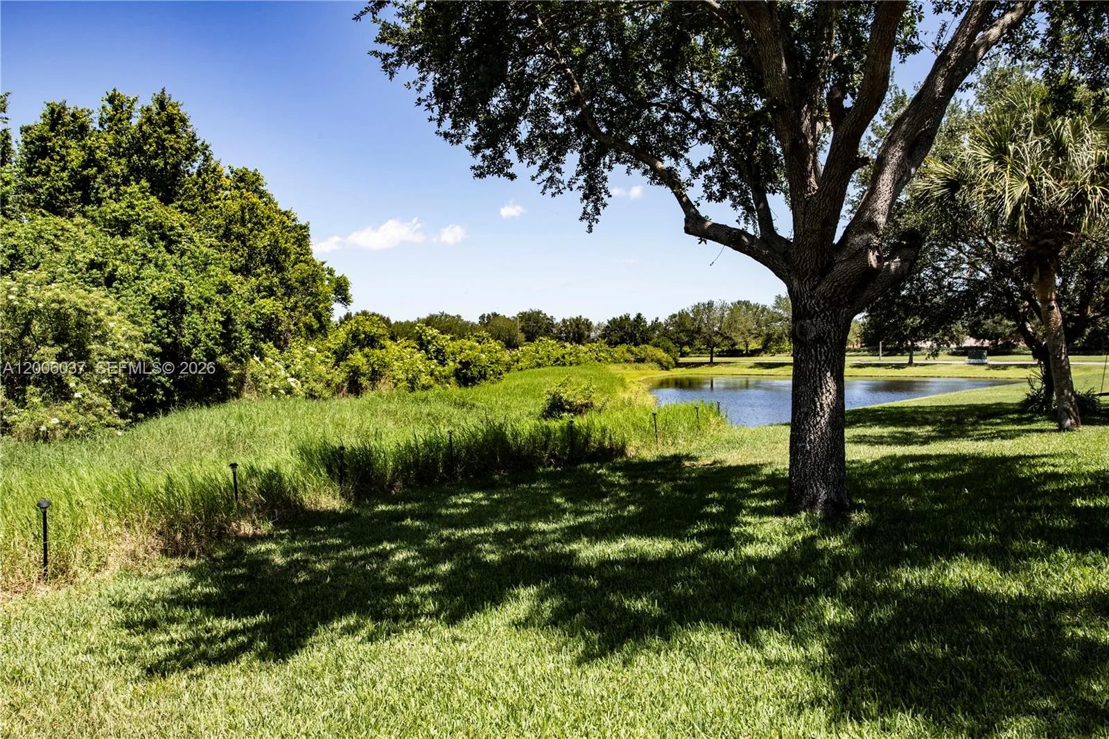 11413 MOUNTAIN BAY DR, Riverview, FL 33569 photo 4