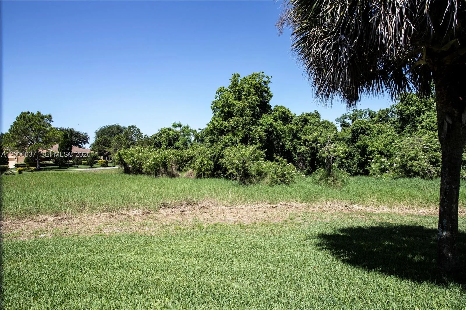 11413 MOUNTAIN BAY DR, Riverview, FL 33569 photo 5