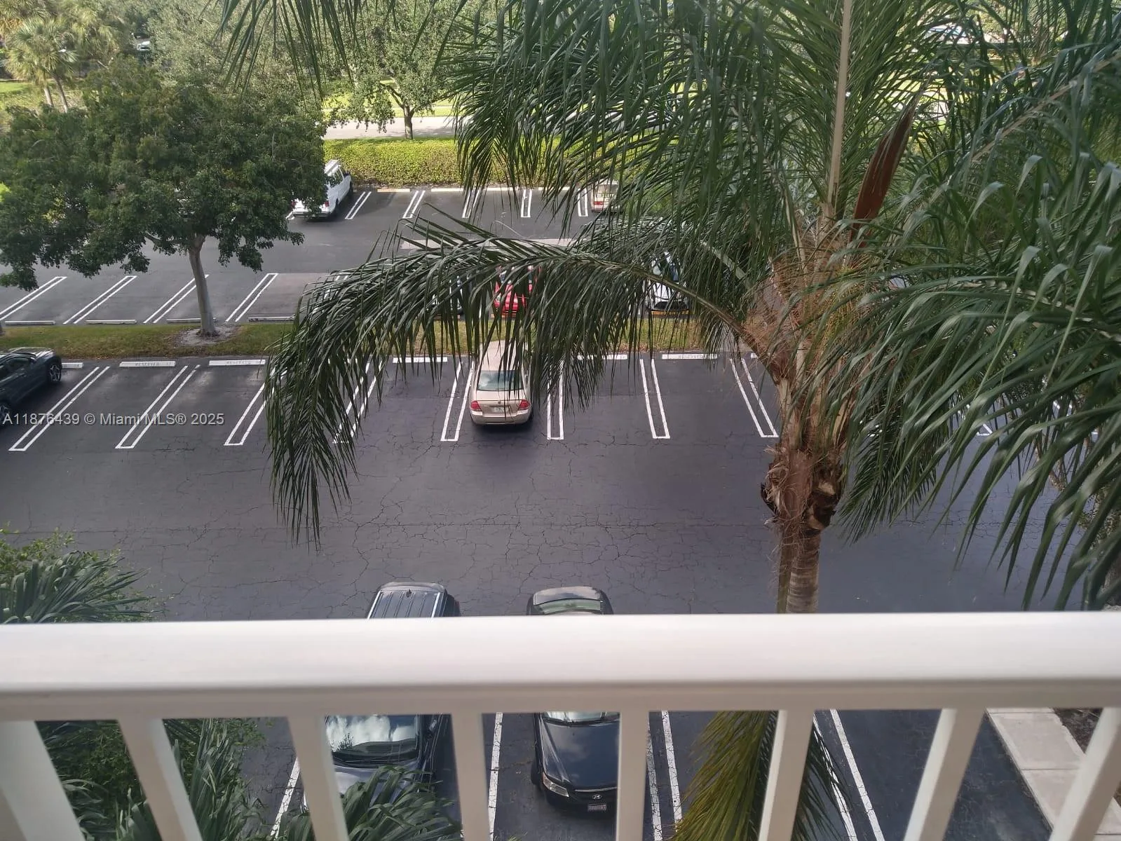 3510 Oaks Way # 509, Pompano Beach, FL 33069 photo 4