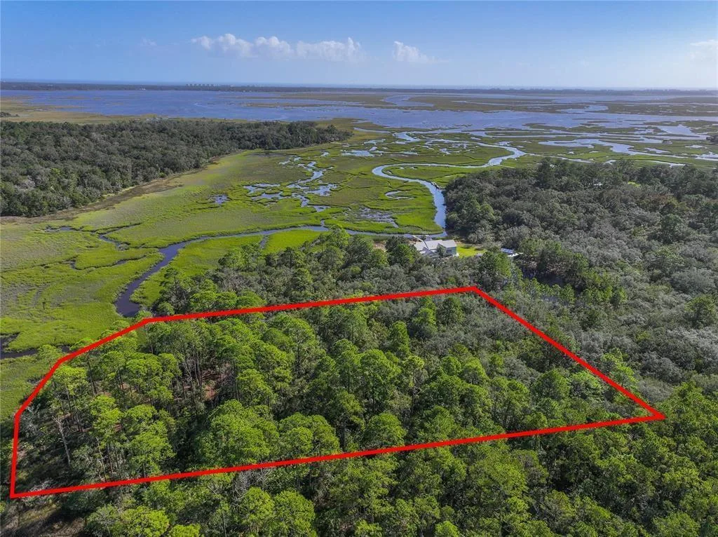0 Mango Lane, FL 32034 photo 10