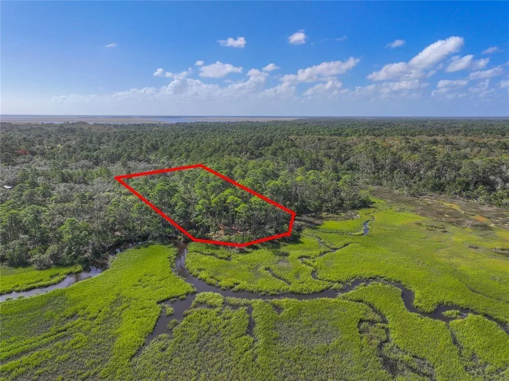 0 Mango Lane, FL 32034 photo 11
