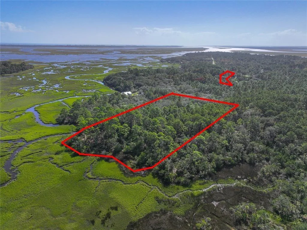 0 Mango Lane, FL 32034 photo 12