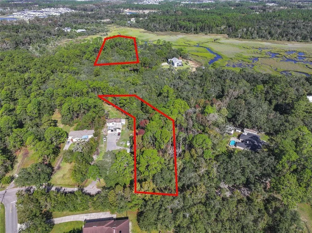 0 Mango Lane, FL 32034 photo 13