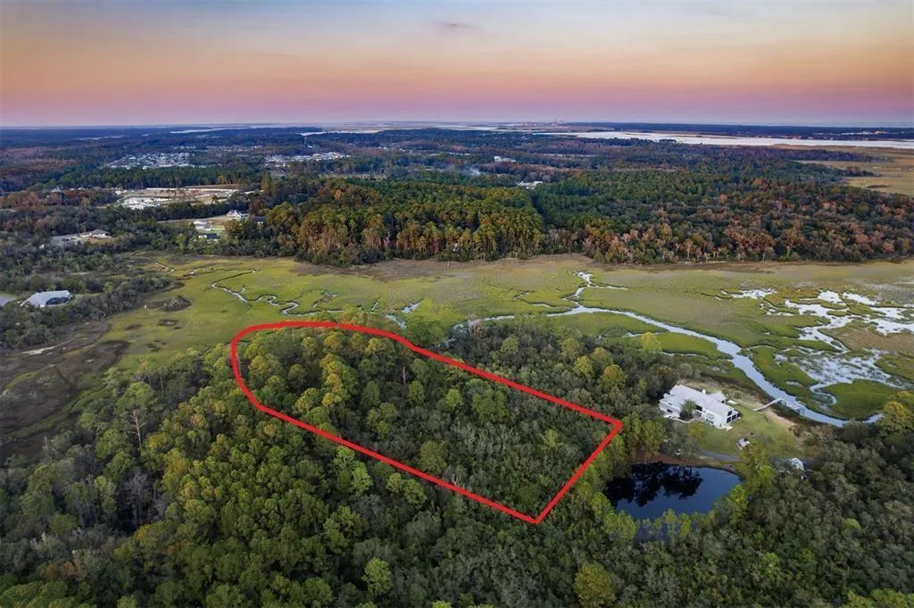 0 Mango Lane, FL 32034 photo 6