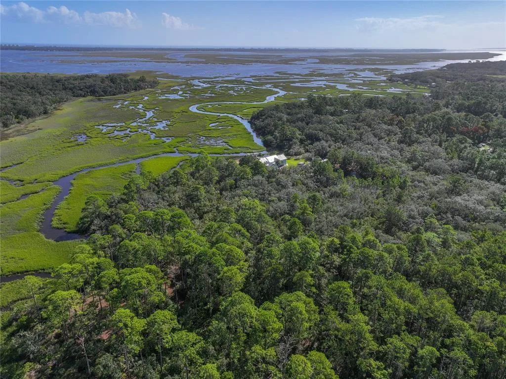 0 Mango Lane, FL 32034 photo 7