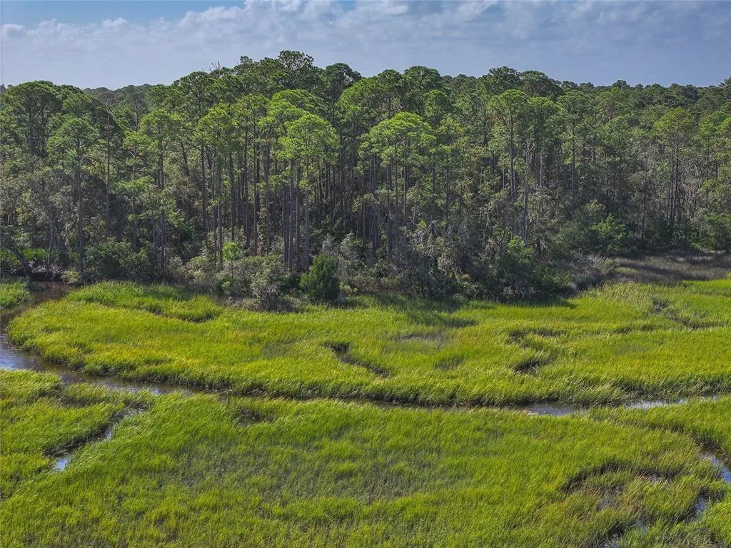 0 Mango Lane, FL 32034 photo 8