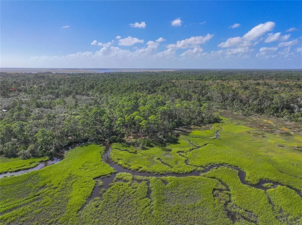 0 Mango Lane, FL 32034 photo 9