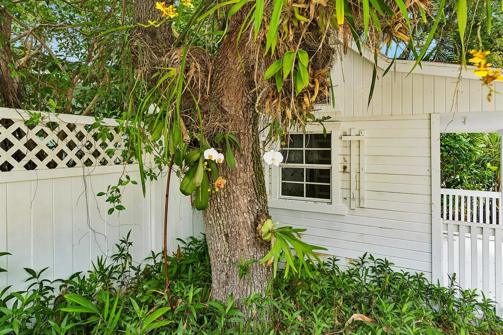 210 Merrain Road, Palm Beach, FL 33480 photo 9