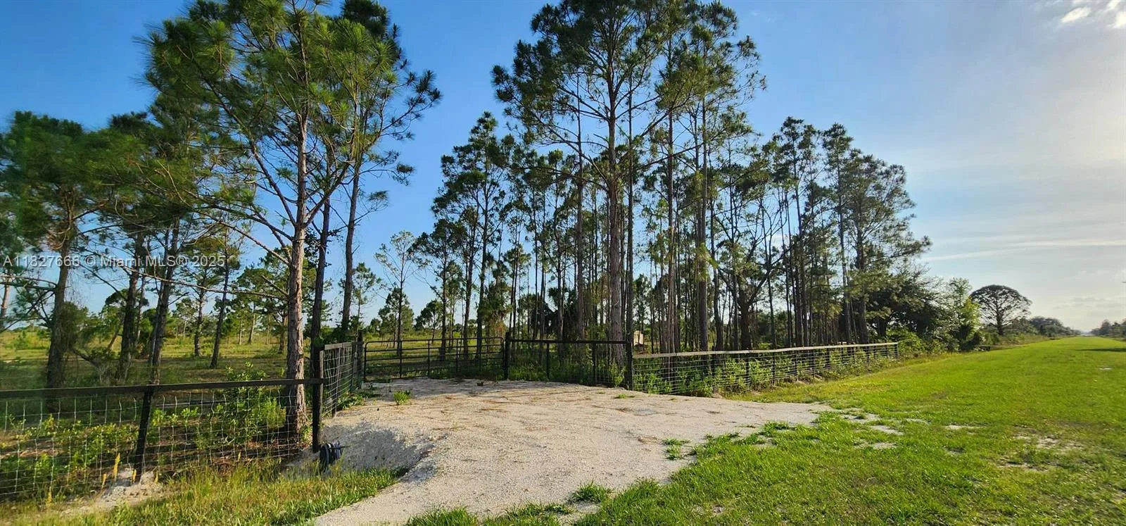 16322 NW 294 st, Okeechobee, FL 34972 photo 2