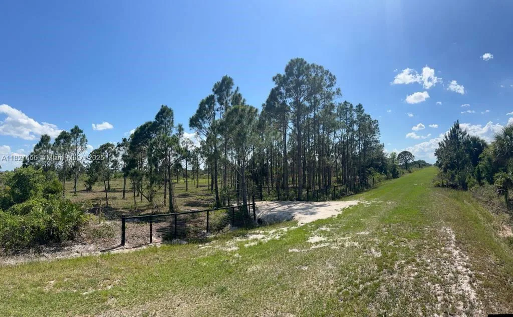 16322 NW 294 st, Okeechobee, FL 34972 photo 3