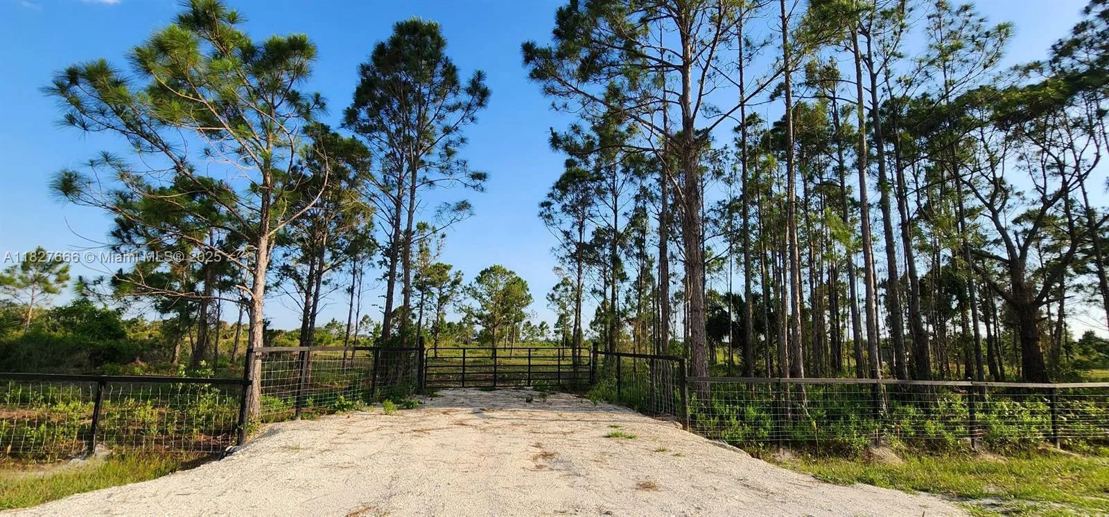 16322 NW 294 st, Okeechobee, FL 34972 photo 4