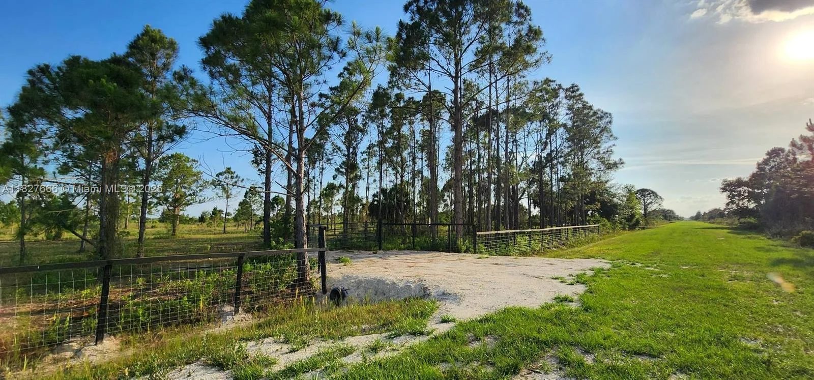 16322 NW 294 st, Okeechobee, FL 34972 photo 5