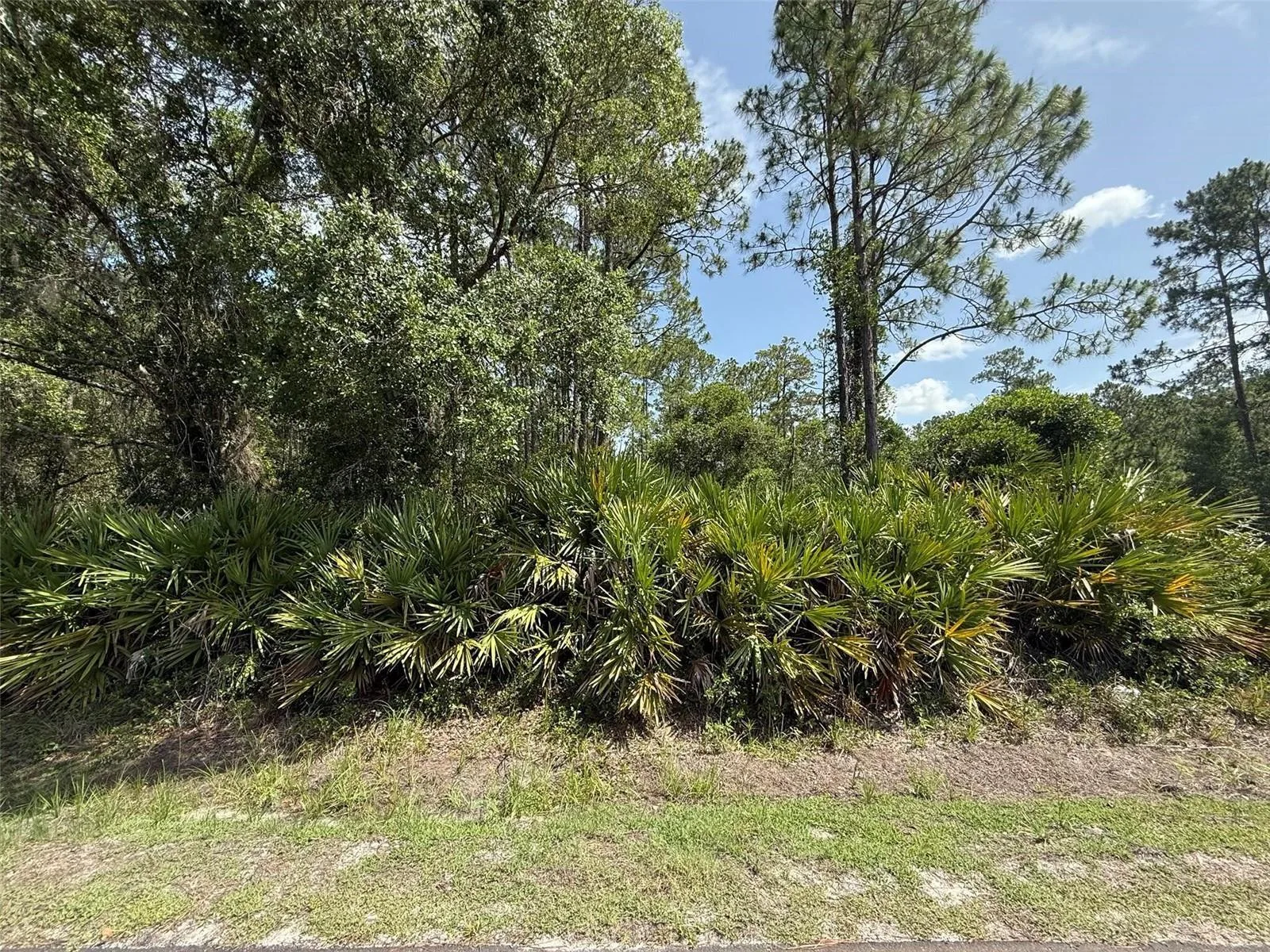 132 Millican Road, Palatka, FL 32177