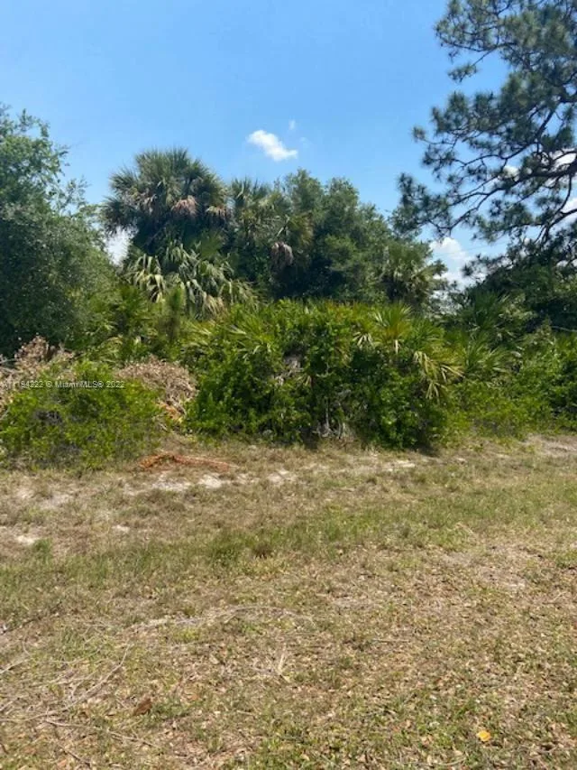 5029 SE TradeWinds Cir, La Belle, FL 33935 photo 3