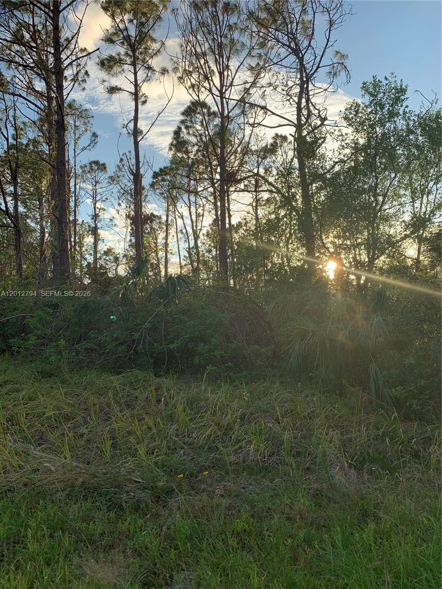 0 Hamerton, North Port, FL 34288 photo 3