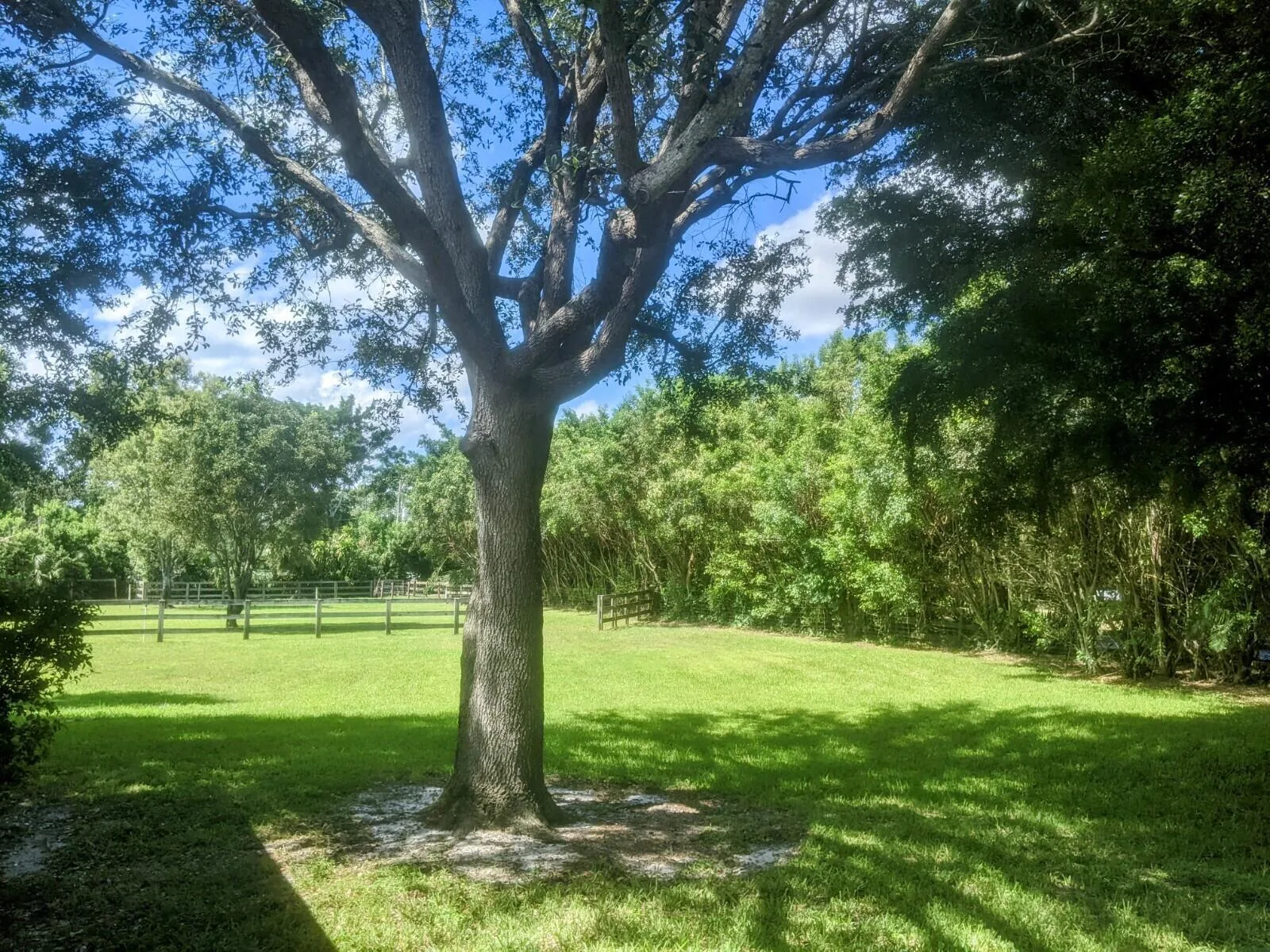 819 Cindy Circle Lane # ~ Barn & Guest House, Wellington, FL 33414 photo 12