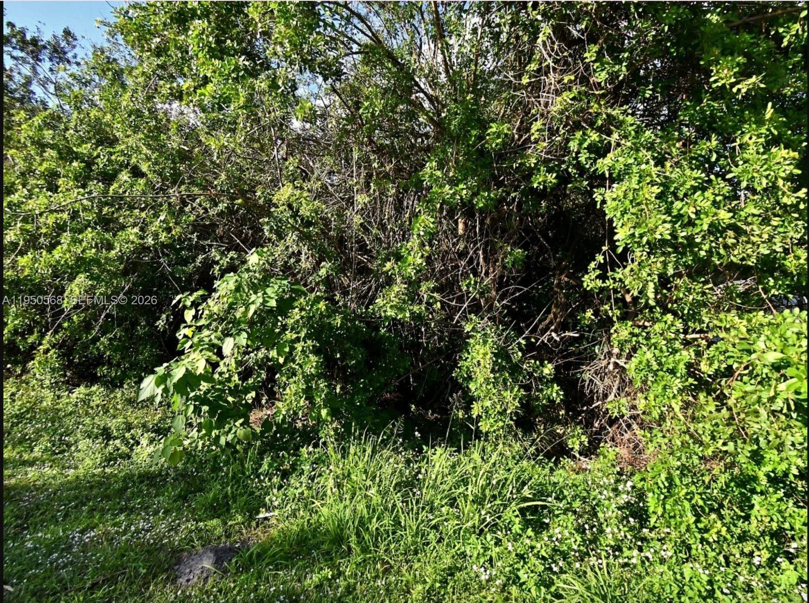 n/a San Diego Ave, Fort Pierce, FL 34946