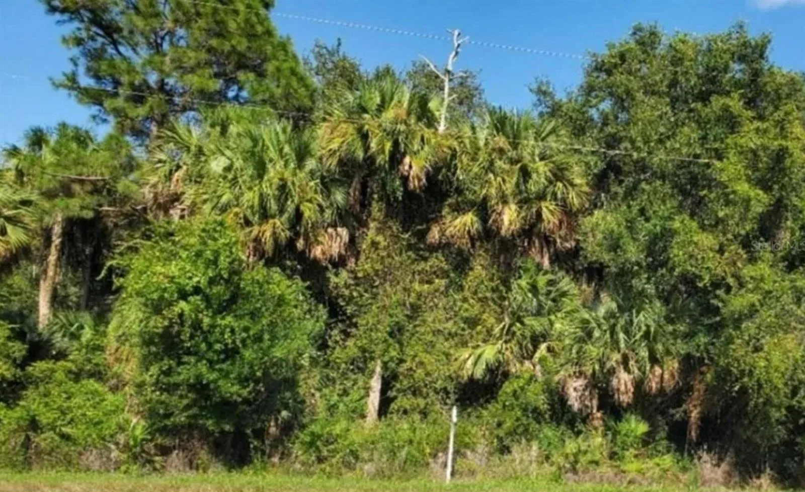 3804 Hwy 98 N, Okeechobee, FL 34972 photo 2