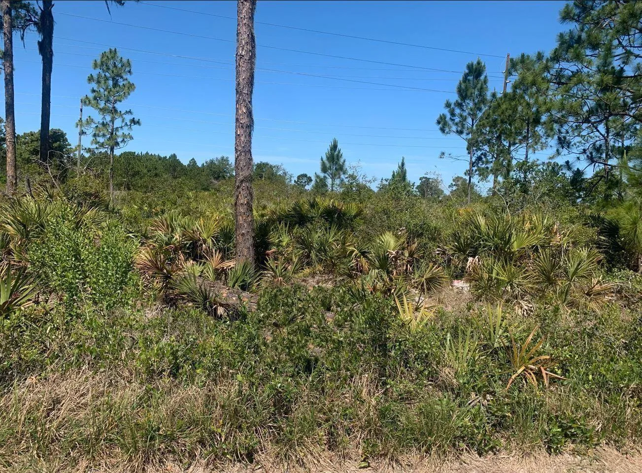 329 Phesant Boulevard, Sebring, FL 33872