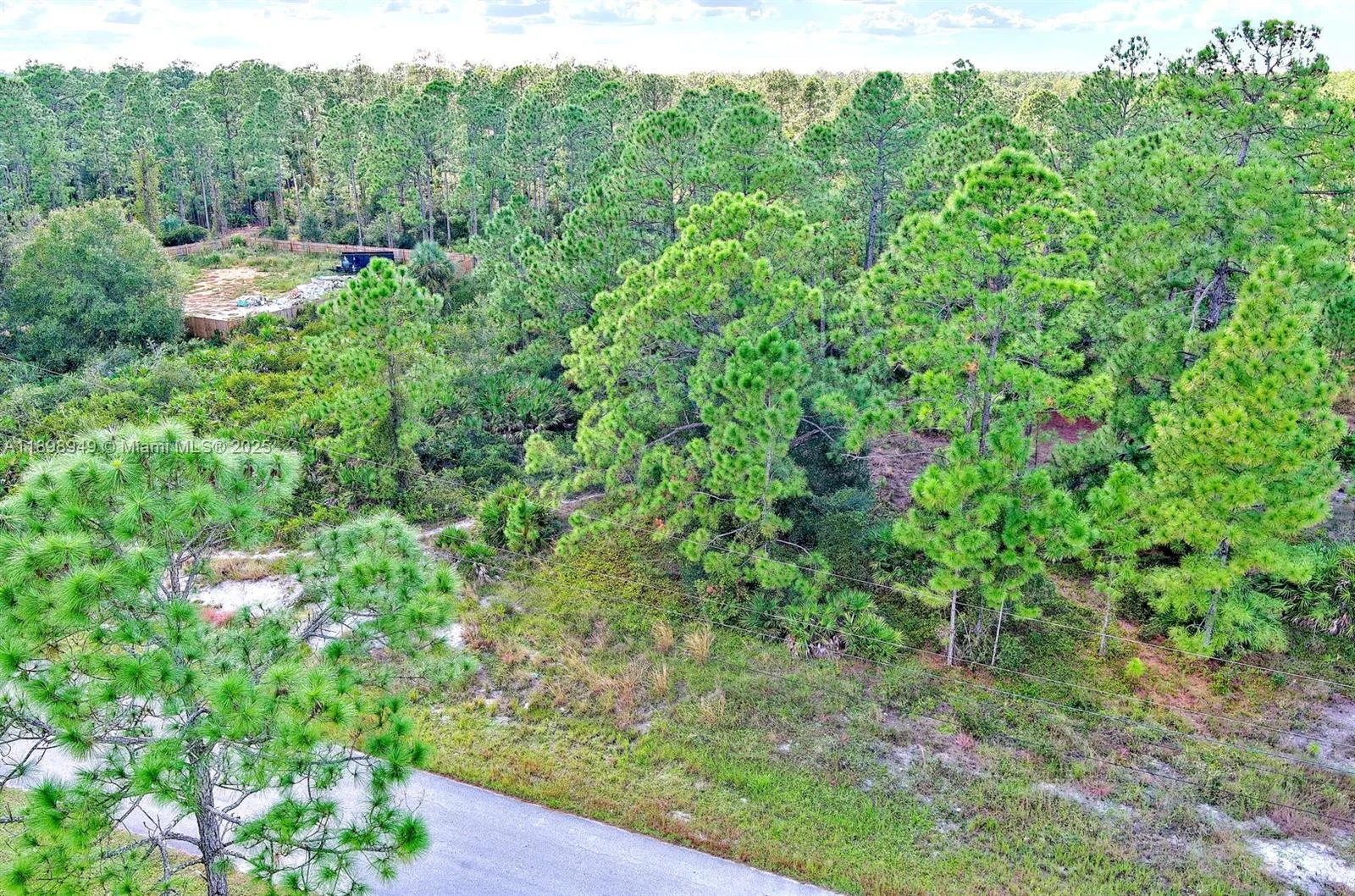1221 Wellington Ave, Lehigh Acres, FL 33972 photo 3