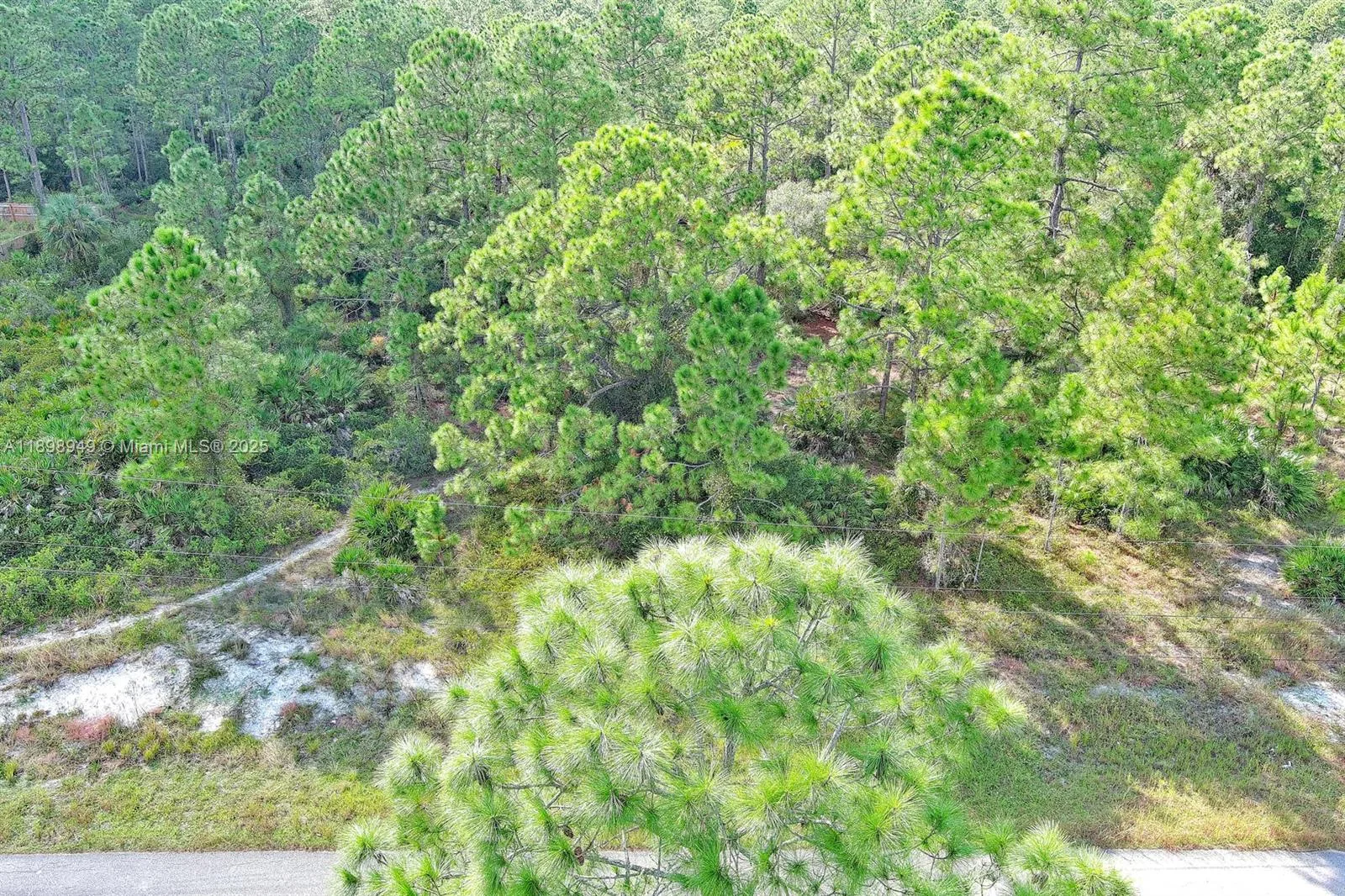 1221 Wellington Ave, Lehigh Acres, FL 33972 photo 5