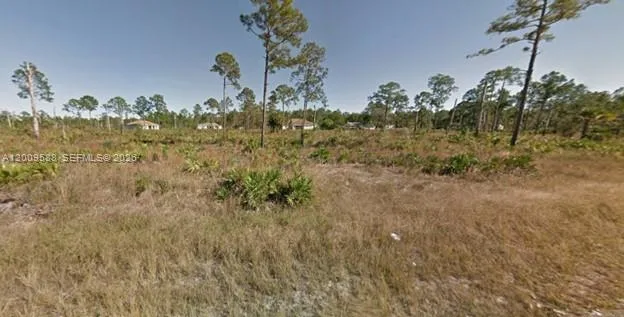 918 Columbus Ave, Lehigh Acres, FL 33972 photo 2