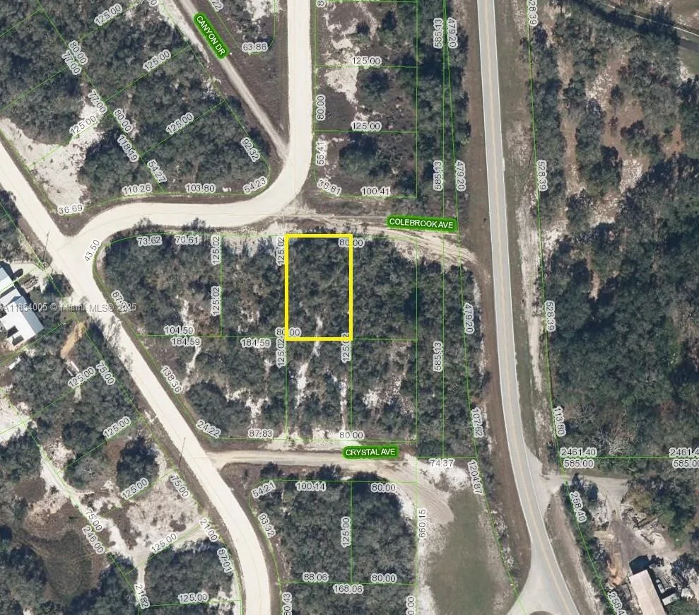 105 Colebrook Ave, Lake Placid, FL 33852