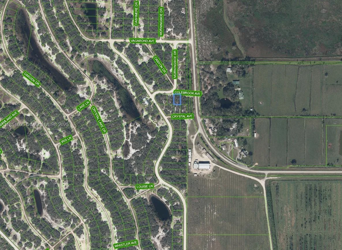 105 Colebrook Ave, Lake Placid, FL 33852 photo 3