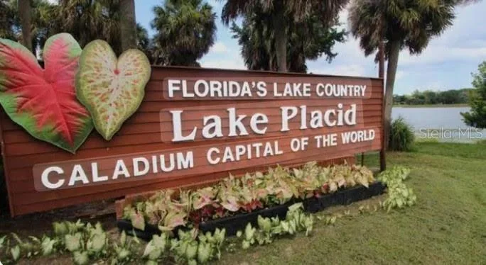 450 Kemper Avenue, Lake Placid, FL 33852 photo 4