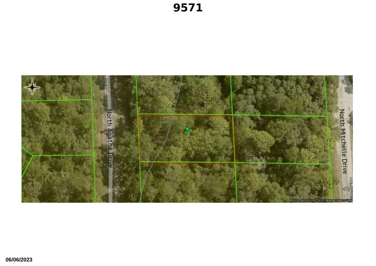 9571 N Agatha Drive, FL 34434